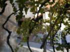 imgp0578_small.jpg
