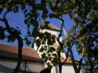 imgp0579_small.jpg