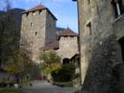 imgp0599_small.jpg