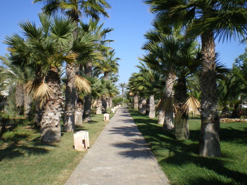 file0072.jpg