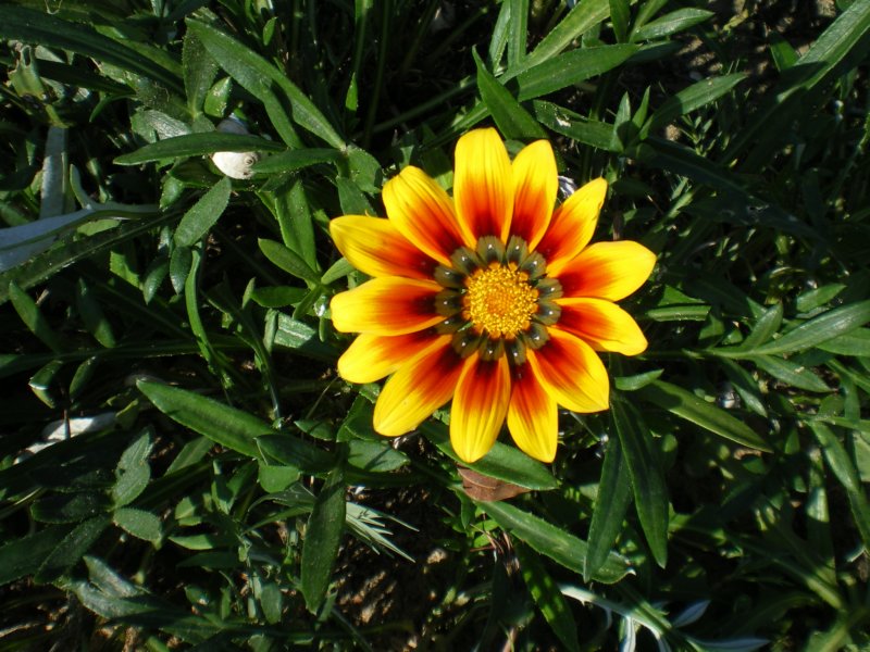 photo1.jpg