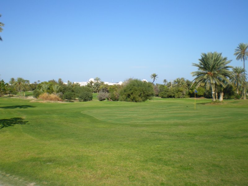 photo11.jpg