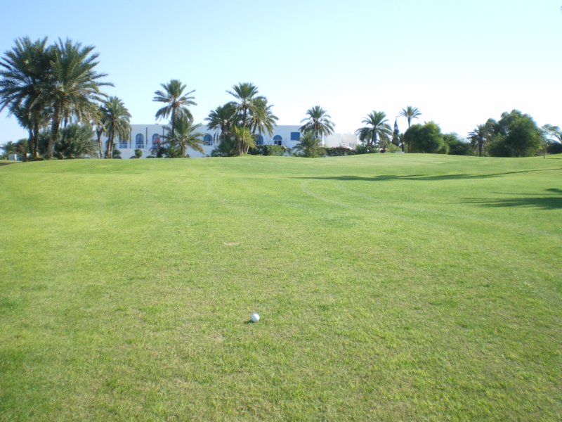 photo14.jpg