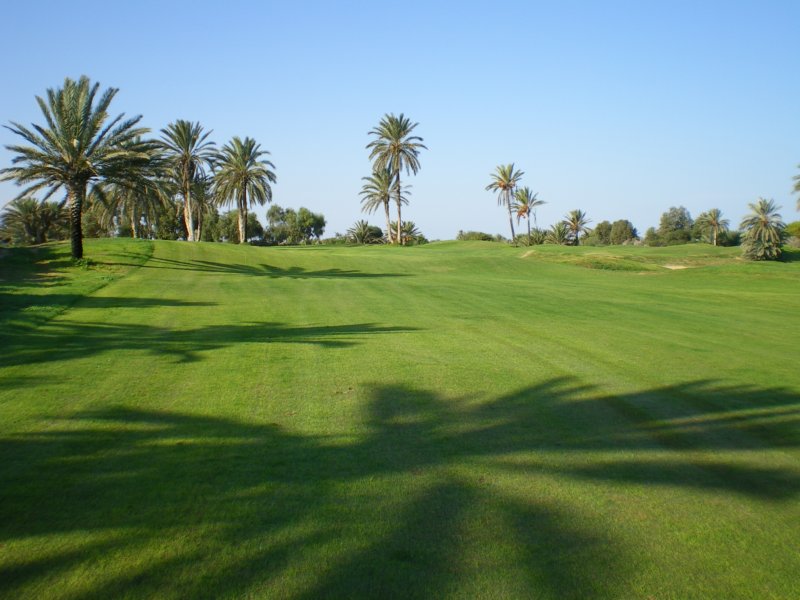 photo18.jpg