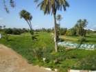 Djerba/photo2_small.jpg