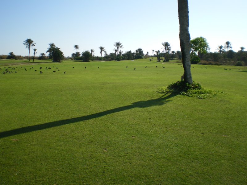 photo9.jpg