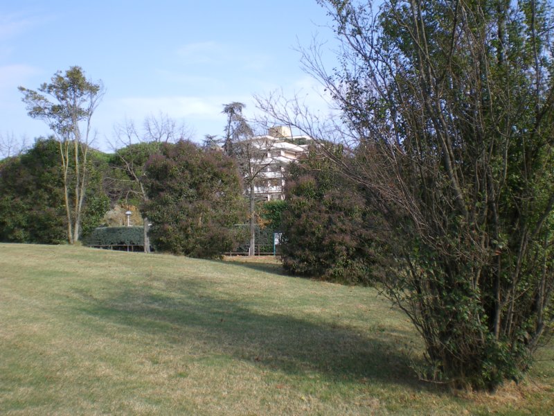 imgp1189.jpg