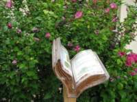img_0348_small.jpg