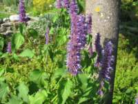 img_0365_small.jpg