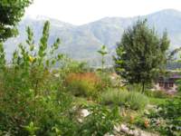 img_0378_small.jpg