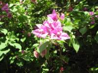 img_2923_small.jpg