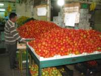 img_2931_small.jpg