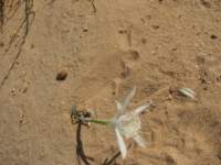img_2632_small.jpg