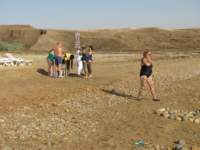 img_2645_small.jpg