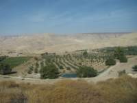 img_2670_small.jpg