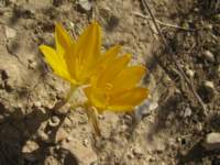 img_2701_small.jpg