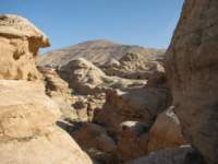 img_2803_small.jpg