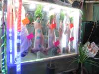 img_2914_small.jpg