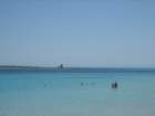 img_0729_small.jpg