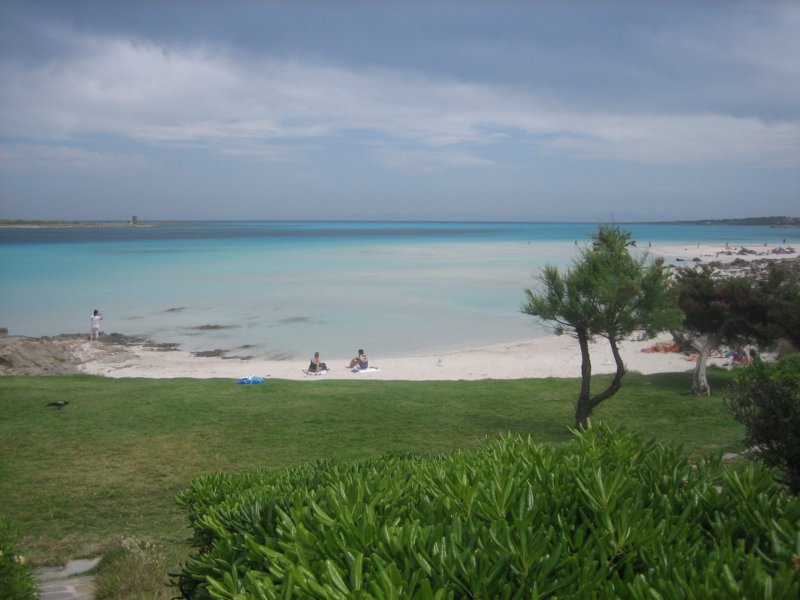 img_0734.jpg