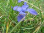 img_0184_small.jpg