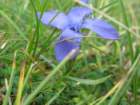 img_0185_small.jpg