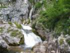 img_0300_small.jpg