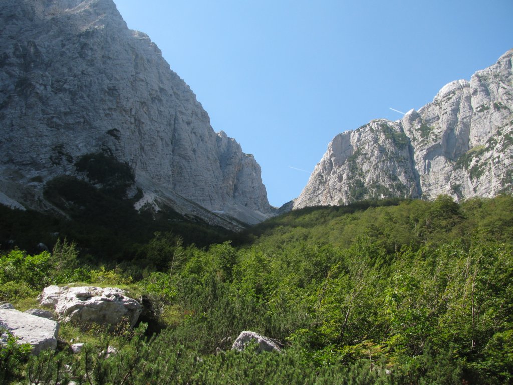 vr8.jpg