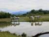naturpark_small.jpg