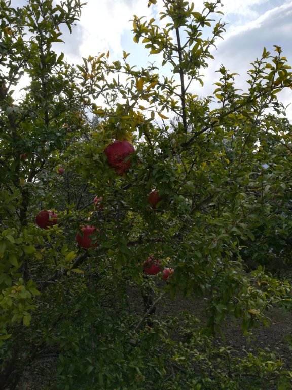 img_20181013_102437.jpg