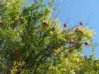 img_3050_small.jpg